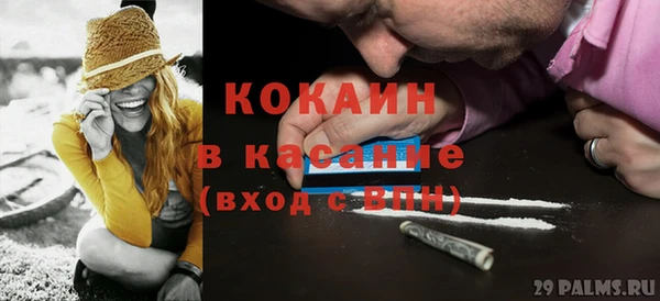 дживик Абаза
