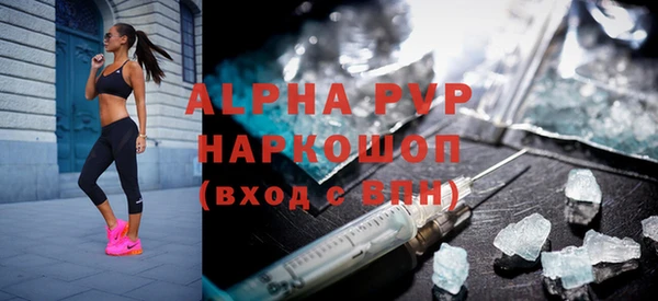 гашик Дмитров